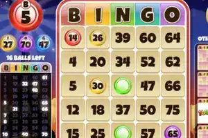 Online Bingo